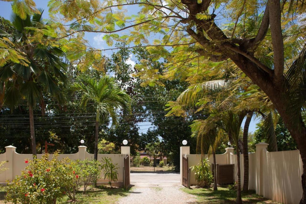 Villa Confort Grand Anse  Dış mekan fotoğraf